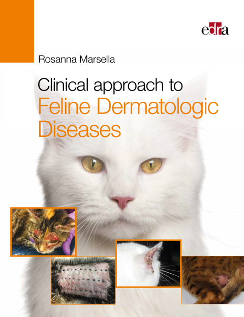 Clinical approach to Feline Dermatologic\nDiseases 