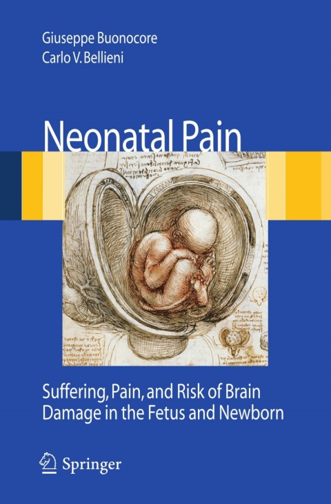 Cover image for book Neonatal Pain