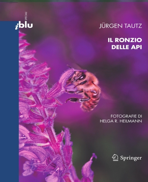 Cover image for book Il ronzio delle api