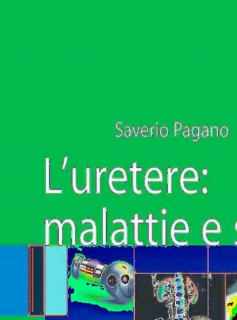 Cover image for book L'uretere: malattie e sintomi