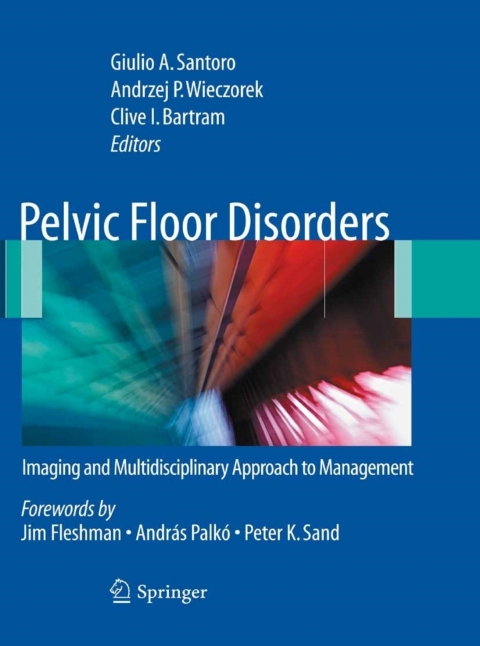 Cover image for book Pelvic Floor Disorders