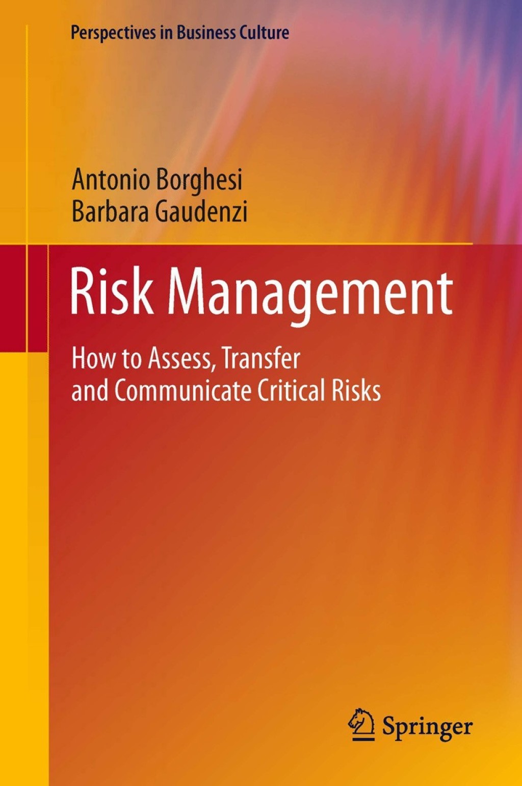 Risk Management (eBook Rental) - Antonio Borghesi; Barbara Gaudenzi,