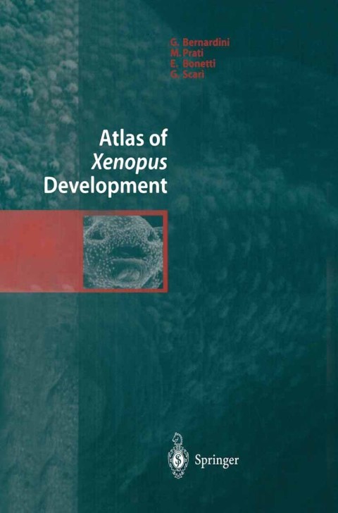 Cover image for book Atlas of Xenopus Development