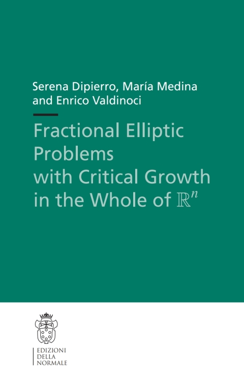Cover image for book Fractional Elliptic Problems with Critical Growth in the Whole of $\R^n$