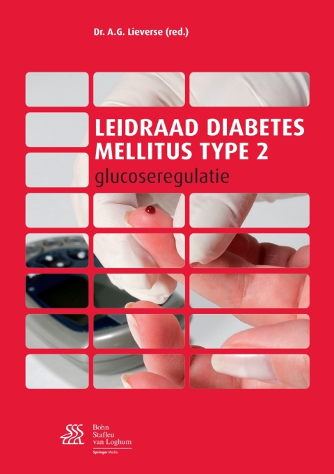 Cover image for book Leidraad diabetes mellitus type 2