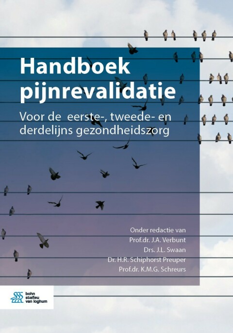Cover image for book Handboek pijnrevalidatie
