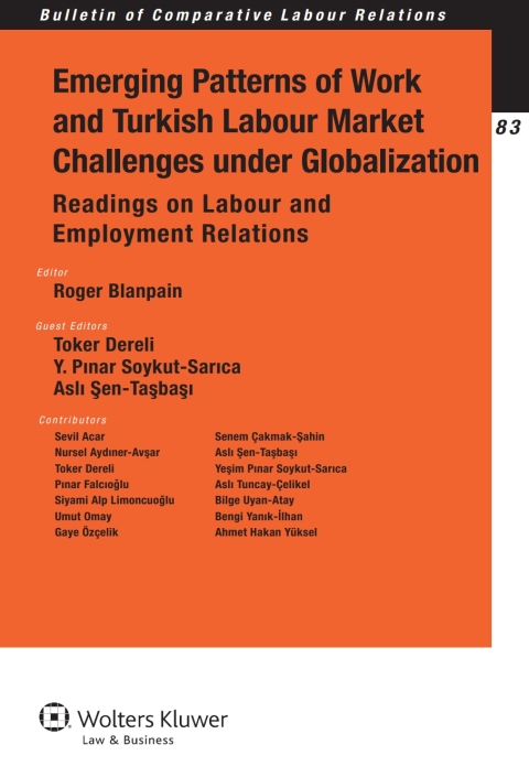 Cover image for book Emerging Patterns of Work and Turkish Labour Market Challenges under Globalization