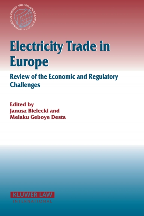 Cover image for book Electricity Trade in Europe Review of the Economic and Regulatory Changes