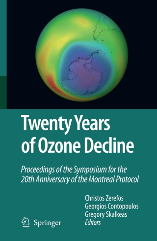 Twenty Years of Ozone Decline