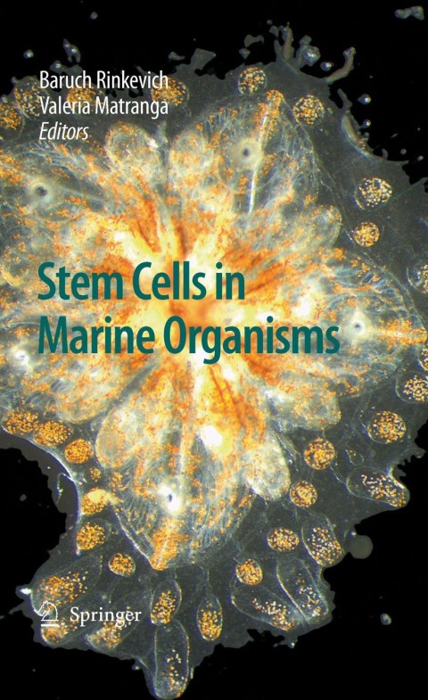 Cover image for book Stem Cells in Marine Organisms
