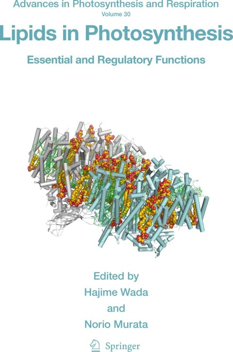 Cover image for book Lipids in Photosynthesis