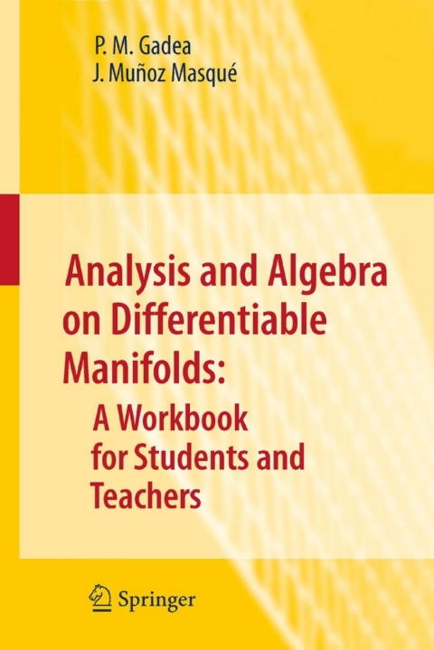 Cover image for book Analysis and Algebra on Differentiable Manifolds: A Workbook for Students and Teachers