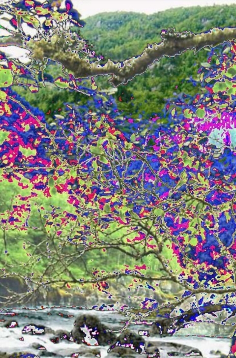Cover image for book Integrated Watershed Management
