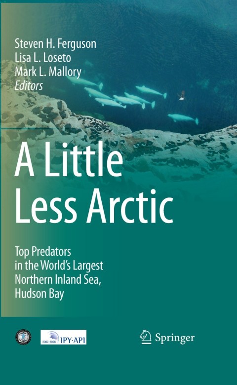 Cover image for book A Little Less Arctic