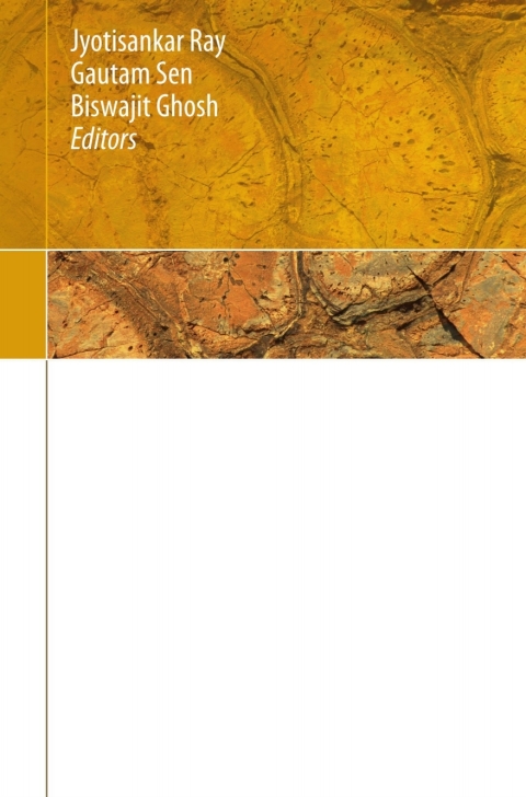 Cover image for book Topics in Igneous Petrology