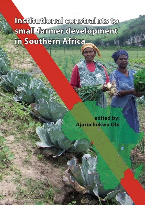 Cover image for book Institutional Constraints to Small Farmer Development in Southern Africa
