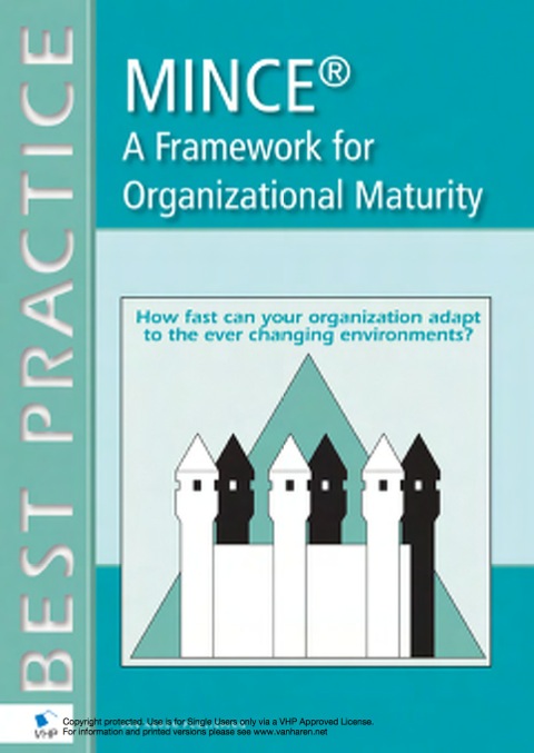 Cover image for book MINCE®  - A Framework for Organizational Maturity