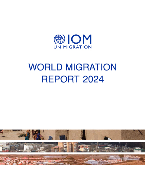 Cover image for book World Migration Report 2024