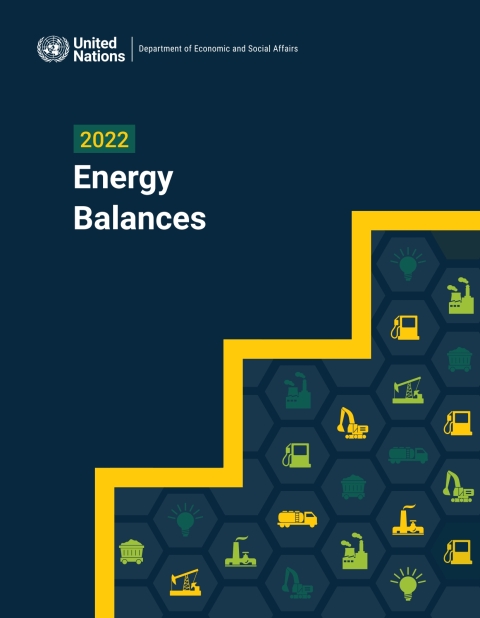 Cover image for book 2022 Energy Balances