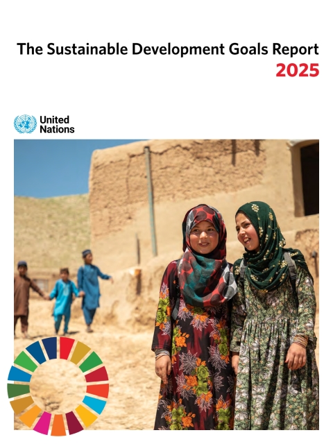 Cover image for book The Sustainable Development Goals Report 2025