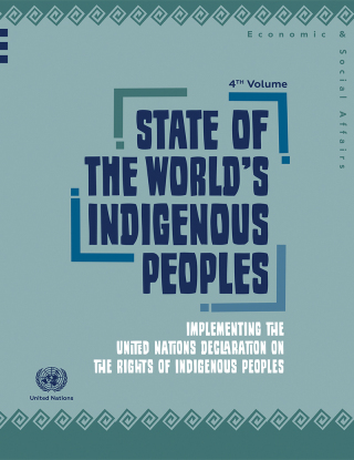 State of the World's Indigenous Peoples: Implementing the United Nations Declaration on the Rights of Indigenous Peoples