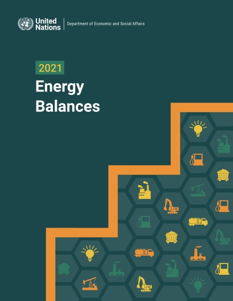 Cover image for book 2021 Energy Balances