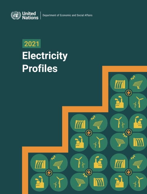 Cover image for book 2021 Electricity Profiles
