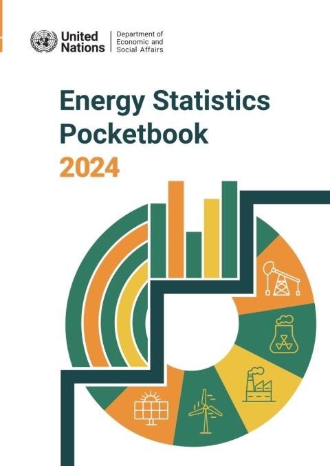 Cover image for book Energy Statistics Pocketbook 2024