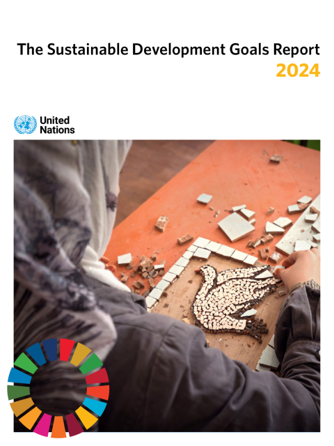 Cover image for book The Sustainable Development Goals Report 2024