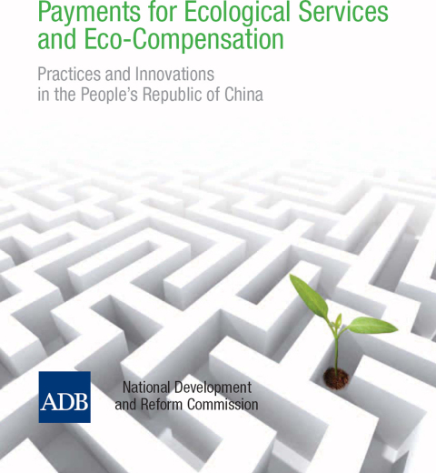 Cover image for book Payments for Ecological Services and Eco-Compensation