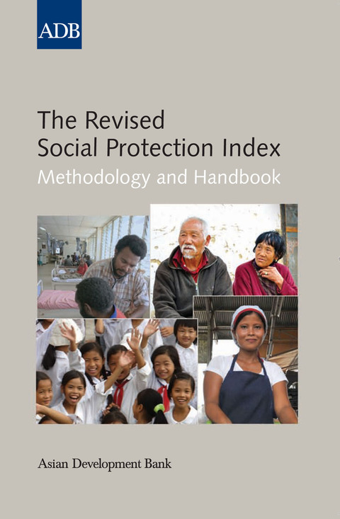 Cover image for book The Revised Social Protection Index