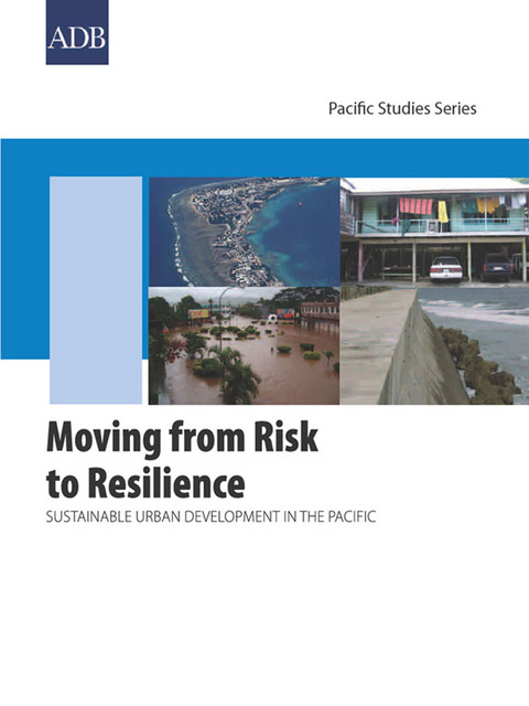 Cover image for book Moving from Risk to Resilience