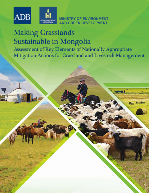 Cover image for book Making Grasslands Sustainable in Mongolia