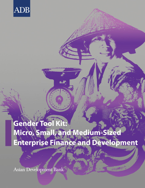 Cover image for book Gender Tool Kit: Micro, Small, and Medium-Sized Enterprise Finance and Development