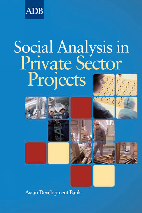 Cover image for book Social Analysis in Private Sector Projects