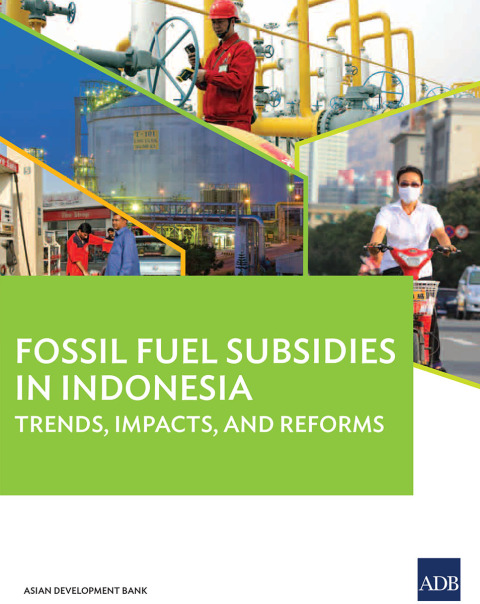 Cover image for book Fossil Fuel Subsidies in Indonesia