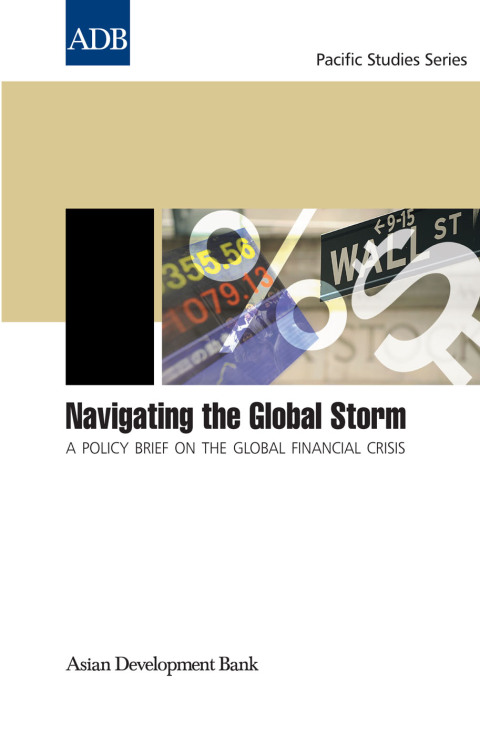Cover image for book Navigating the Global Storm