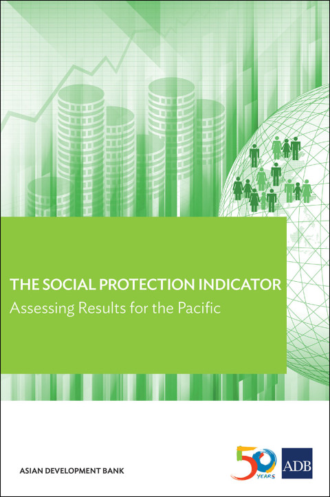 Cover image for book The Social Protection Indicator