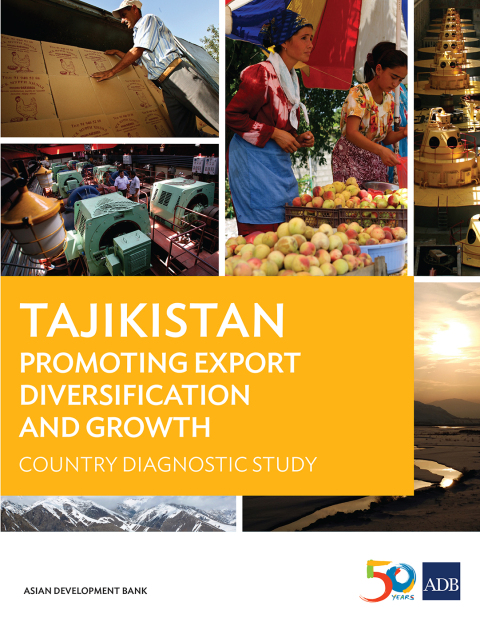 Cover image for book Tajikistan