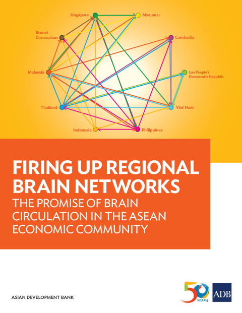 Cover image for book Firing Up Regional Brain Networks