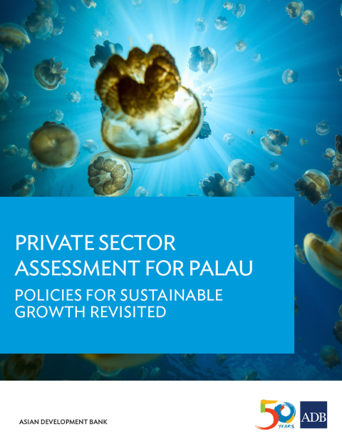 Cover image for book Private Sector Assessment for Palau