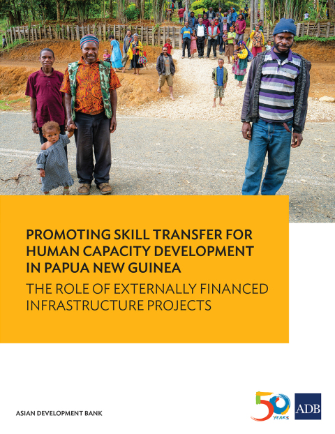 Cover image for book Promoting Skill Transfer for Human Capacity Development in Papua New Guinea