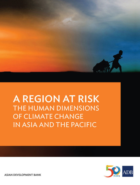 Cover image for book A Region at Risk