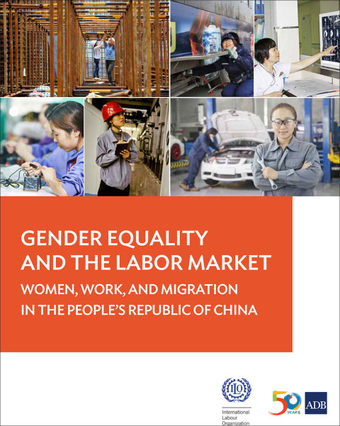 Cover image for book Gender Equality and the Labor Market
