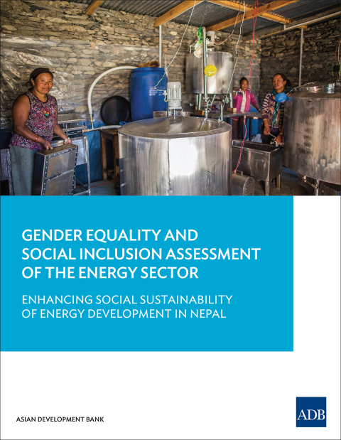 Cover image for book Gender Equality and Social Inclusion Assessment of the Energy Sector