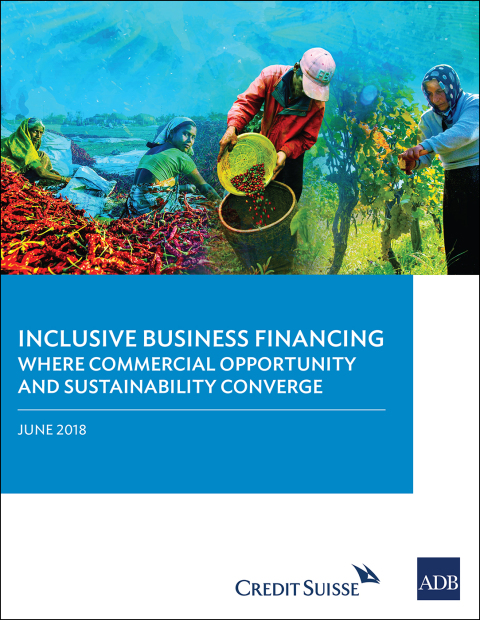 Cover image for book Inclusive Business in Financing