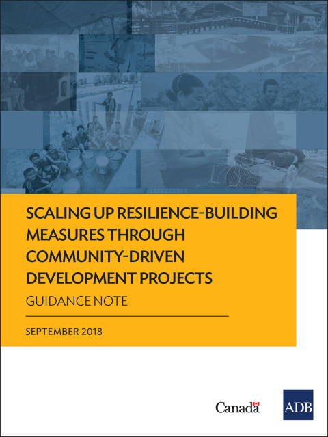 Cover image for book Scaling Up Resilience-Building Measures through Community-Driven Development Projects