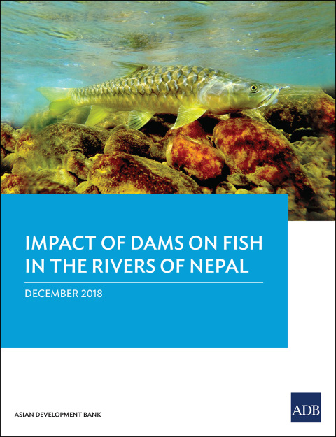 Cover image for book Impact of Dam on Fish in the Rivers of Nepal