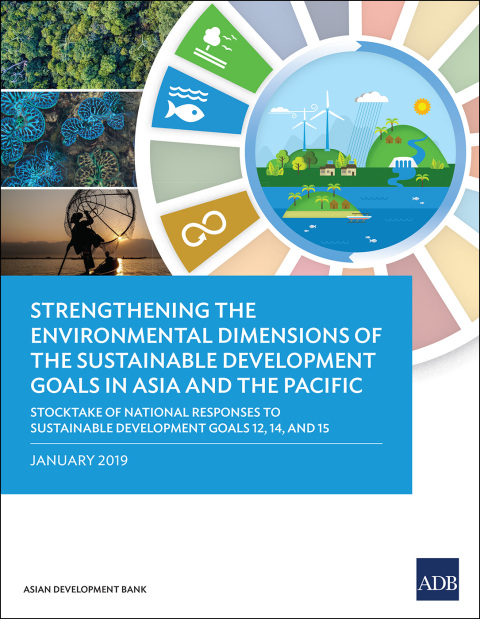 Cover image for book Strengthening the Environmental Dimensions of the Sustainable Development Goals in Asia and the Pacific