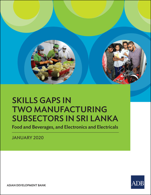 Cover image for book Skills Gaps in Two Manufacturing Subsectors in Sri Lanka